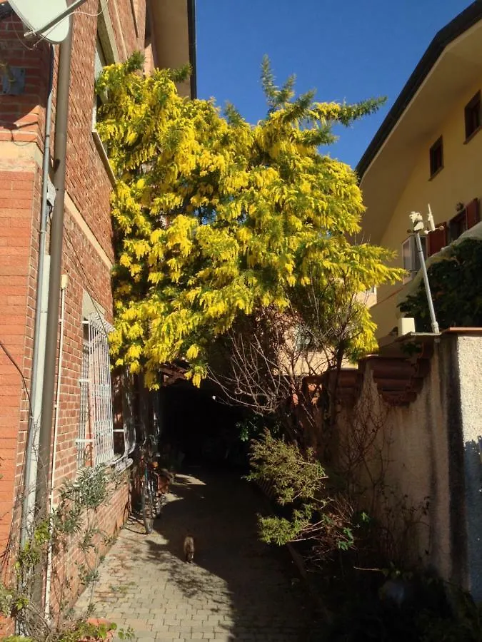 Casa Mimosa Apartment Viareggio 0*,